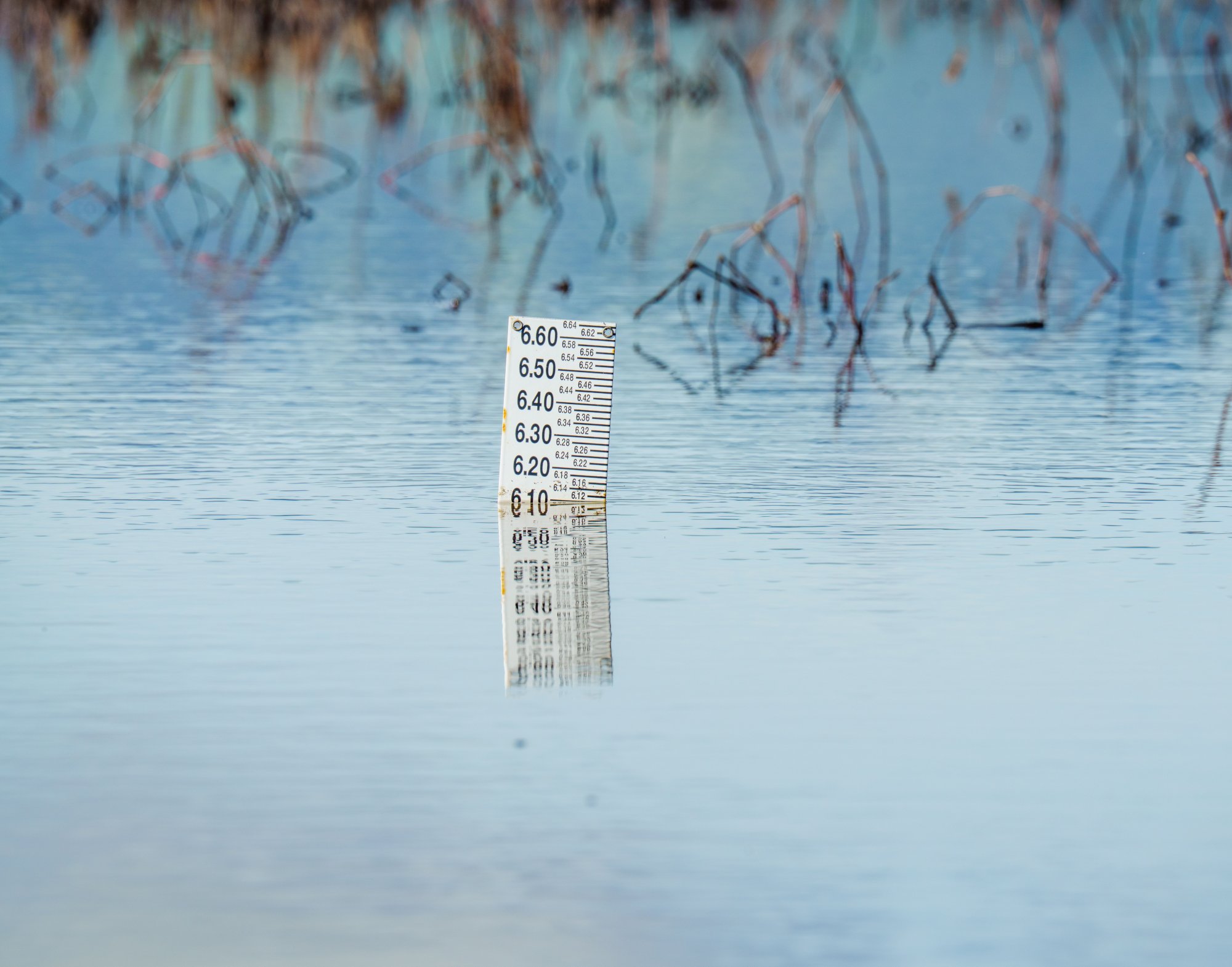 Rekordalacsony a Tisza vízállása – mit jelent ez a horgászoknak?